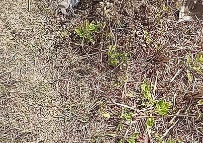 Outdoor Fucking Anal and Pussy Gay Boy