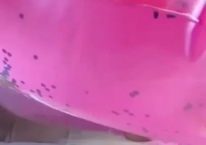 Beautiful inflatable swimrings in my bed