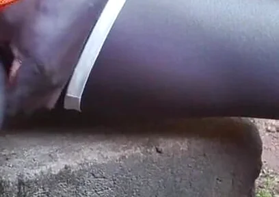 Let Me Fuck You Stepmom Please with This Black 12 Inched Cock