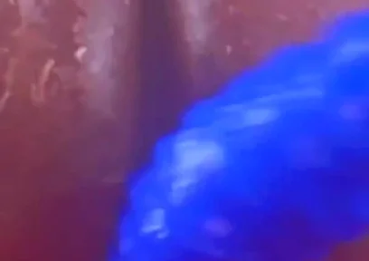 Should I Film with More Fantasy Dildos?