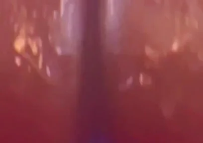 Should I Film with More Fantasy Dildos?