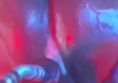 Intense Verbal Play Ahead...