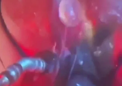 Intense Verbal Play Ahead...