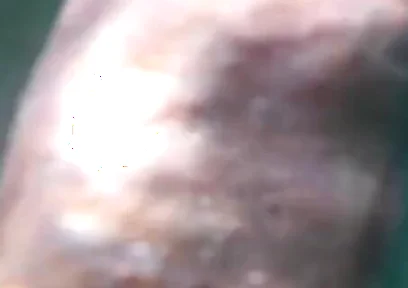 Naked in the Sea