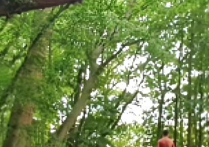 Compilation Outdoor Nudity, Masturbation, Pee & Ass Images