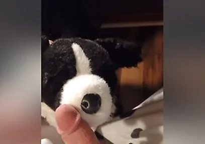 Border Collie Plushie Licks And Makes Onesie Pubby Cum!
