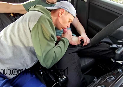 Forest Encounter Wild Outdoor Passion