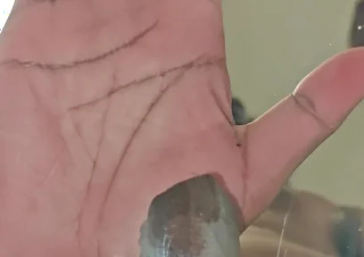 Further Experiments with a Bucket and Clear Plastic Have Yielded Cum