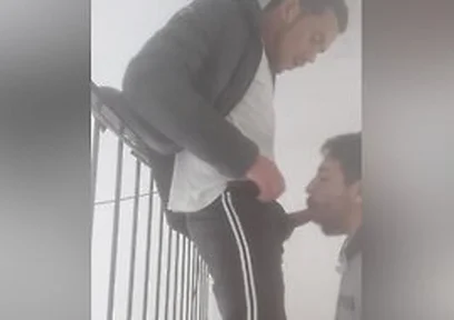 Taking Care Of A Friends House