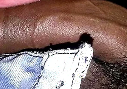Blowing Bbc At Night Club Party