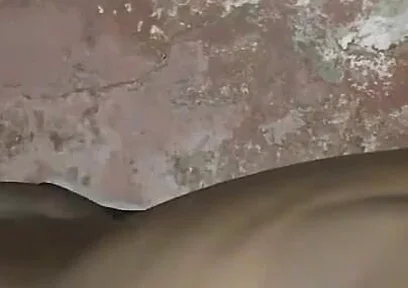 Humping My Bed Is a Sexual Desire