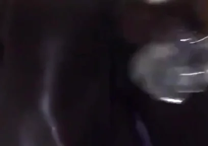 Black Breeders Adventures 228