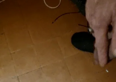 My Dick an My Dancing Balls