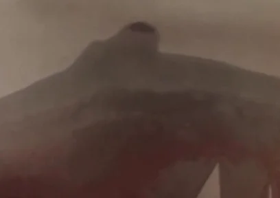 Essa Verticalargument4