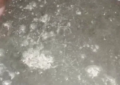 Indian Boy Black Dick Masturbate and Cum