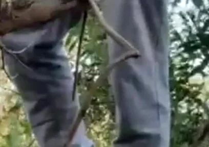 Hot Amateur Boy Sucks and Rims in the Woods