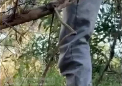 Hot Amateur Boy Sucks and Rims in the Woods