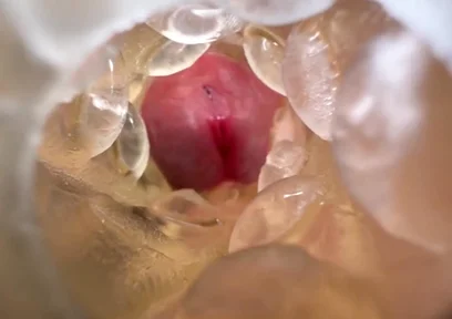 Huge Creampie with Internal View While Fucking Fleshlight, Moaning and Dirty Talking