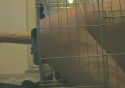 Slave in Cage Gets Anal Used