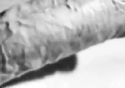 Revealing My Big White Hard Cock