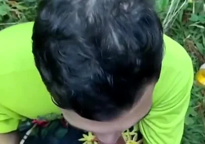 Two Males of Large Piroca Making Blows in the Forest.