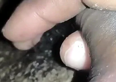 The Water of the Desi Land Comes Out Like the Water of the Desi Land.