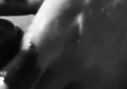 White Cock with Chocolate Syrup