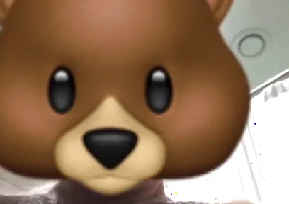 Stepdaddy Bear Body