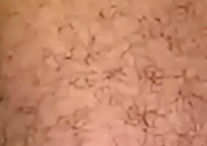 Deepthroat Fierce and Unforgiving