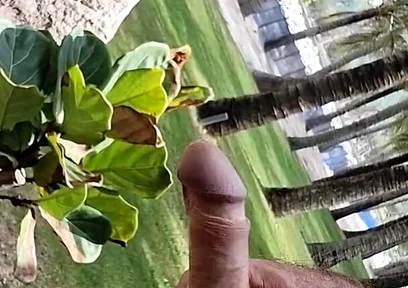 Public Beach Cock Flash