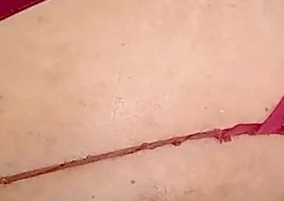 Deliciously Fat and Long, Just the Way I Like Them