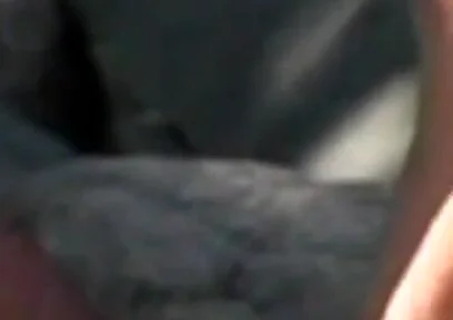 Latino Twink Fuckin Barebac with Friend
