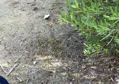 Cruising Adventures: Ep. 3, Madrid Outdoor Suck and Fuck Latino Guy and His Boyfriend