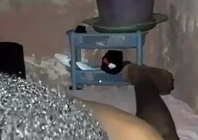 No Pussy, No Issue. I Have My Bed.