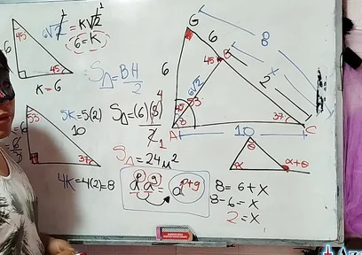 14 the Pleasure of the Triangle in Your X