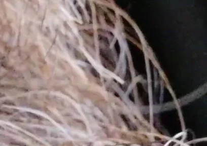 Kissing, Spitting on and Fucking My Stunt Mouth