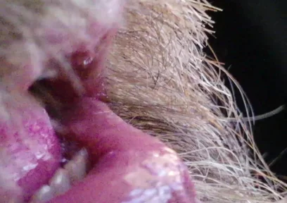 Kissing, Spitting on and Fucking My Stunt Mouth