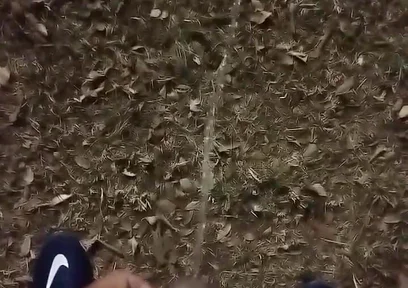 Outdoor Sex, of All Sexualities, Is Now Allowed in My Condominium