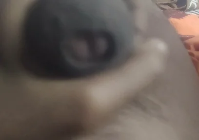 Aunty's Pussy Became Wet After Seeing My Penis.