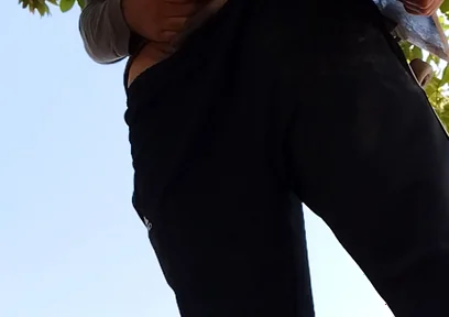 A Normal Day in the Park