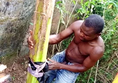 F*** Your Health Dick Out of the Cook