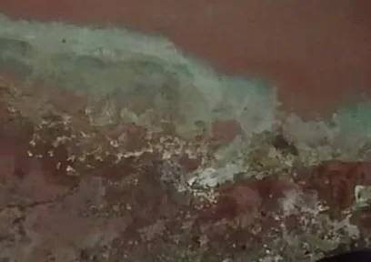 The Dark View of African Black Guy's Masturbation