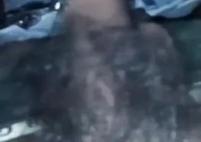 Sexy Video
