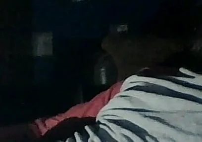 Viewing Models on the Pc