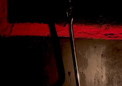Something Interesting From the Darkness...