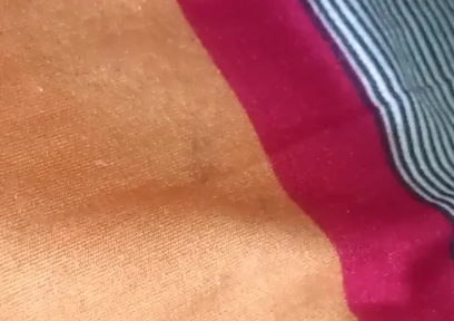 Desi Boy Anal Hole