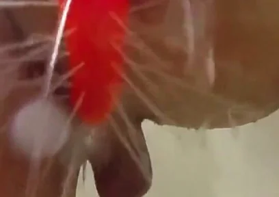Using a Shower Spray Dildo