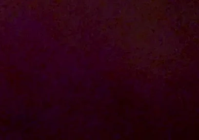 Anal Shenanigans