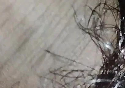 Indian Desi Boy Penis
