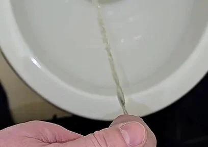 Pissing to the Toilet